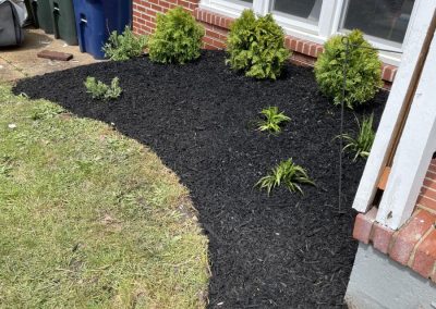 Professional Gardening