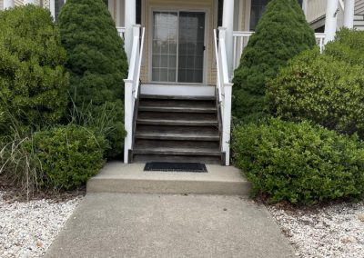 Professional Lawn Care